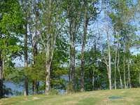 View of lake on the North East side of lot.