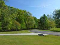 South view of Awalt Dr. coming into Fanning Bend.  Six to eight deer cross the road from green belt to right into TVA land on the left in the morning and evening.