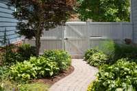 Privacy Fence and landscape lighting offer simple elegance