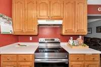 Kitchen- linoleum flooring, wood cabinets