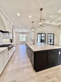 Open kitchen designed w/ the modern chef in mind. Functional workspaces make meal prep a pleasure rather than a chore. Ample counter space for chopping, mixing & assembling ingredients & spacious island offers additional area for serving & dining.