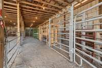 Work Pens and Chute for Cattle