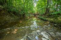 Water running through the property, which is so important for the animals.