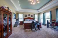 The large master bedroom has a double trey ceiling and lots of windows.