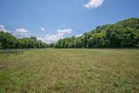 More pasture fields and cross fencing.