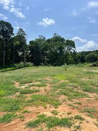 Level Wooded Homesite