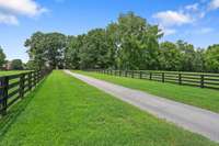 Gated drive leading to home