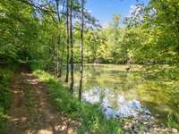 The picturesque pond is a true highlight of the property, offering both beauty and functionality.