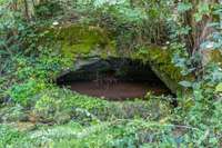 BUBBLING Spring Home is on Spring Water