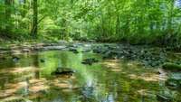 FREE FLOWING Creek Year Round Water per Seller