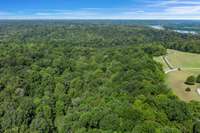 The 51 acres are mostly wooded, except for the cleared area near the entrance to the property.