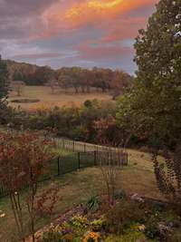 Autumn on Finnhorse Lane; no filter!