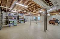 Shelving in basement area is perfect for storage overflow items. Costco anyone?