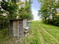 Chicken Coop