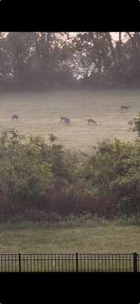 Sellers caught this beautiful scene, right outside of the backyard!