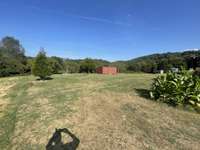 Large Level Back Yard with Outbuilding and Fruit Trees (2 pear trees, 2 peach trees, 2 apple trees)