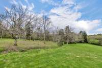 Views of rolling green grass and the hills of Leiper's Fork.