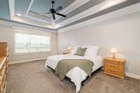 Tray Ceilings in the Primary Bedroom!