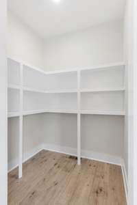 Walk-in pantry for all your storage needs!!