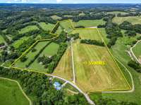 55 Acres for farming, grazing animals, horses or anything your heart desires