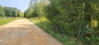 1/2 mile of chert road, looking toward Blue Buck Rd (paved).