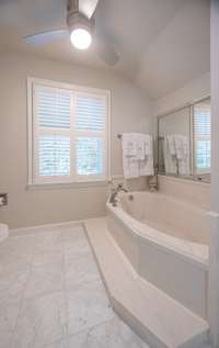 Large whirlpool tub and seperate shower