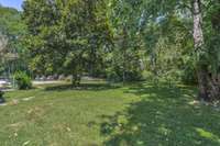 Such pretty green space in side yard behind carport.