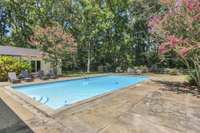 Large pool 20x40.  Ready for enjoying the gorgeous Nashville weather.