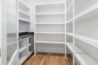 Walk-in pantry with quartzite countertops.