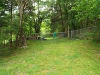 Chain link fence on rear
