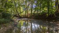 Scenic creek meanders across the property, and has been the site of trail ride gatherings and creekside dining on many occasions.