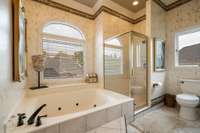 Large Primary Suite bath with large windows.