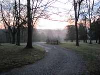 Misty winter morning long view from front walk