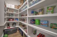 Walk-in pantry with hidden door.