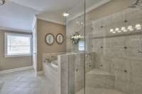 Frameless glass shower