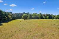 This is the clearing on the back of the property where cattle is currently kept.