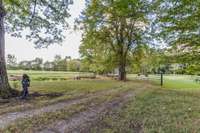 Driveway leading to the barn.