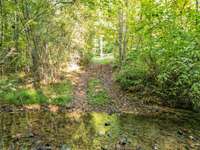 Trails crossing the Creek/Branch