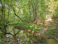 Spring Fed Creek/ Branch almost the entire length of the property. This property also contains two other springs.