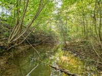 Spring fed Creek/branch that runs the entire length of the property.