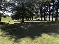 Large Side Yard.