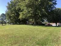 Large beautiful front yard.