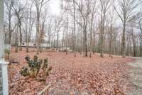 Large front yard, long driveway