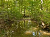 To reach the home you'll have to cross over this charming creek which meanders through the landscape.