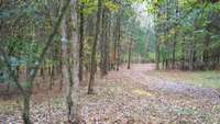 Property has trails throughout with beautiful views!