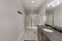 lower level bathroom