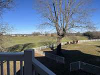 View of side yard from back porch stairs