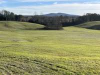 Approx 30 acres of crop area. View is from the corner of Locke Bend Rd and Hennessee Bridge Rd