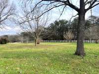 Large front yard