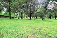 Park view #2
